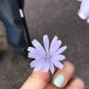 Meet your Posher, Jayden